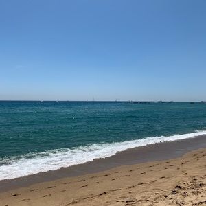 Meet your Posher, Guillermo